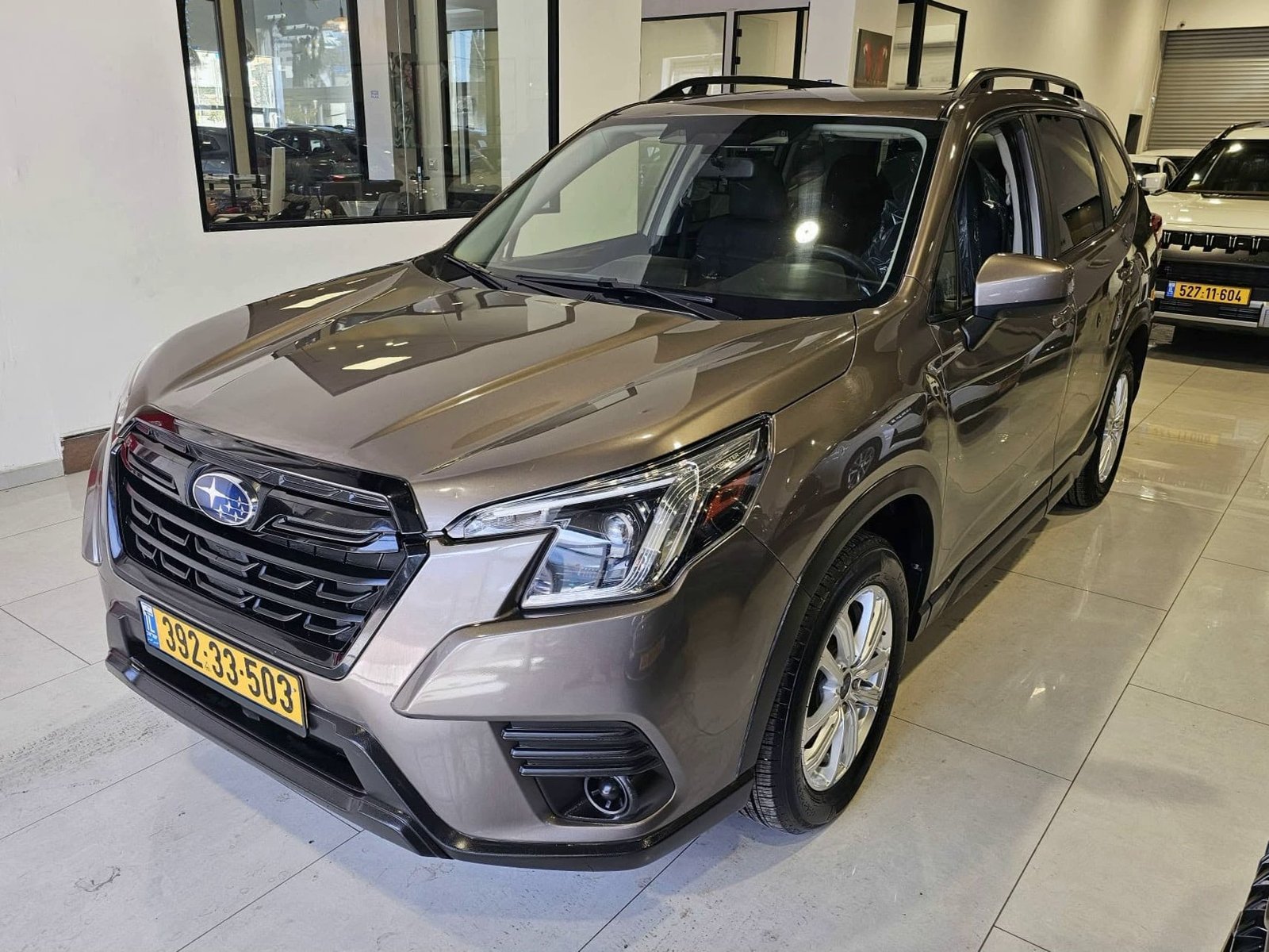 6e5e54b8-0cbe-43d2-ba95-df42330a2e2a